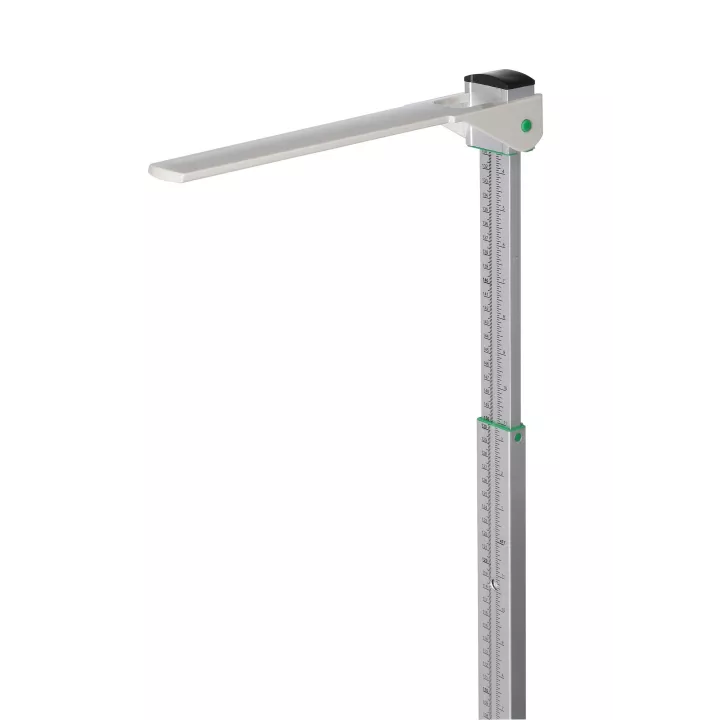 Toise aluminium murale adulte