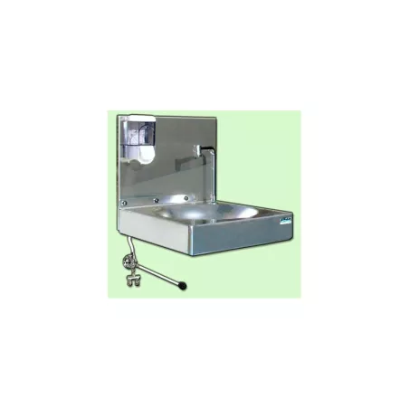Poste de lavage des mains en inox avec dosseret et distributeur savon
