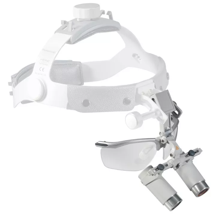 Optiques avec i-View et S-Guard pour bandeau Professional L