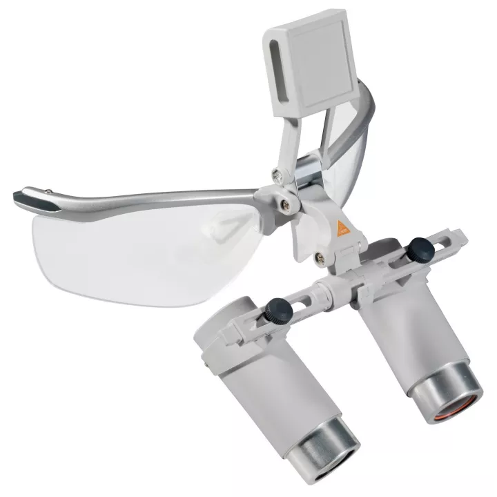 Optiques avec i-View et S-Guard pour bandeau Professional L