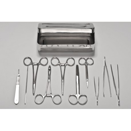 Boîte pour petite chirurgie, inox ou aluminium, Holtex