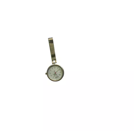 Montre à clipper