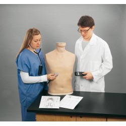 Simulateur d'auscultation adulte