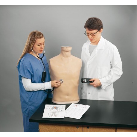 Simulateur d'auscultation adulte