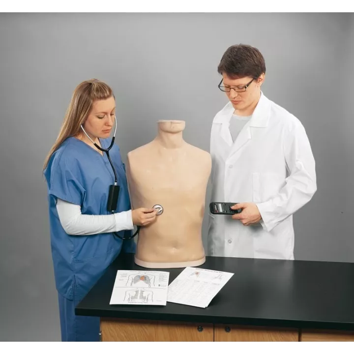 Simulateur d'auscultation adulte