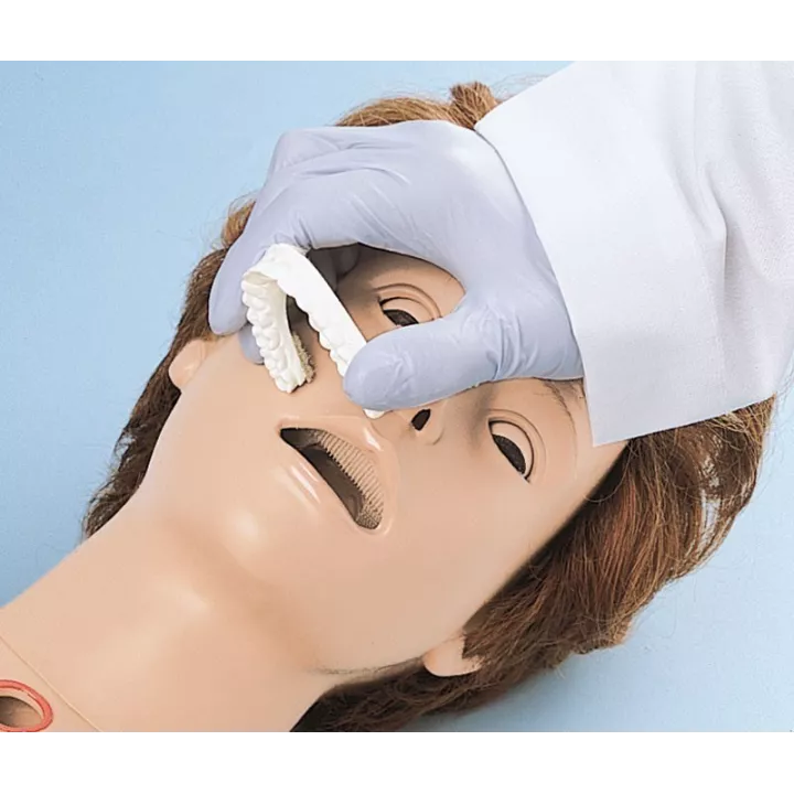 Mannequin de soin, version standard