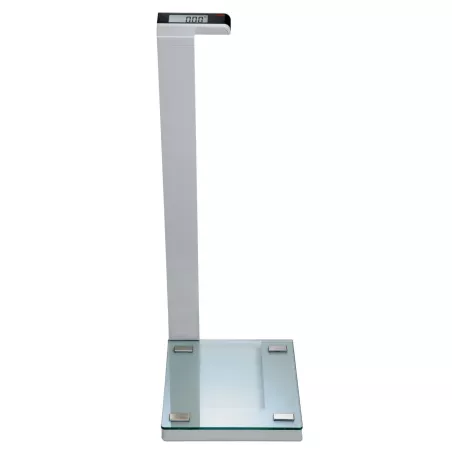 Balance électronique à colonne haute seca 719, portée 180 kg