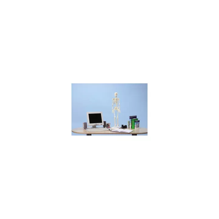 Squelette miniature PATRICK