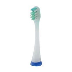 Brossette de rechange V, la paire -