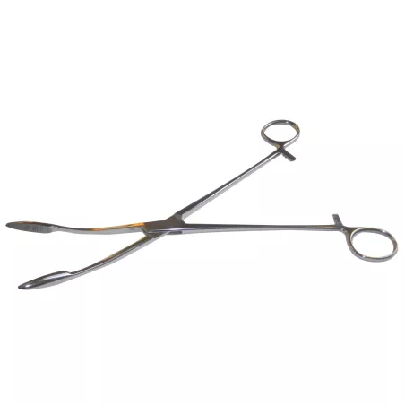 Pince longuette 24 cm, COMED
