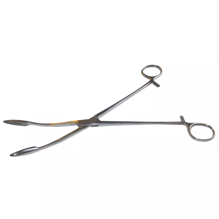 Pince longuette 24 cm, COMED