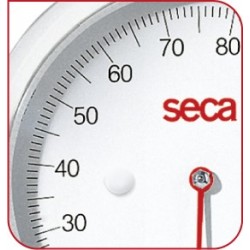 Cercle blanc et plexiglass pour SECA 761