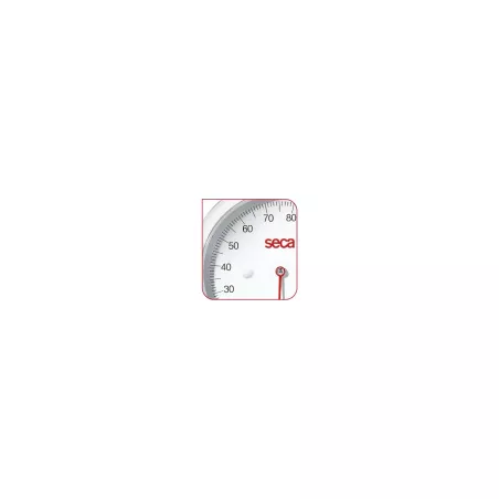Cercle blanc et plexiglass pour SECA 761