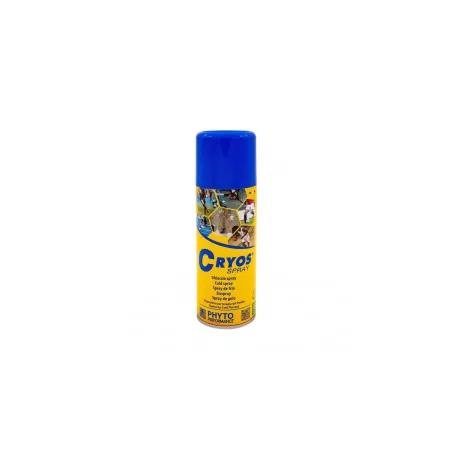 Bombe de froid en spray