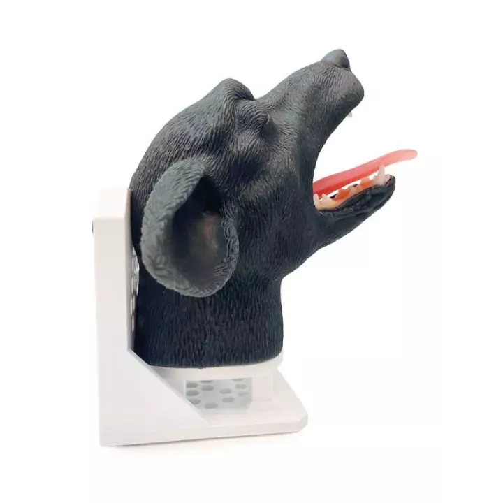 Tête de chien pour intubation