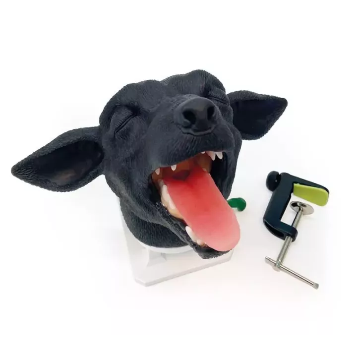Tête de chien pour intubation
