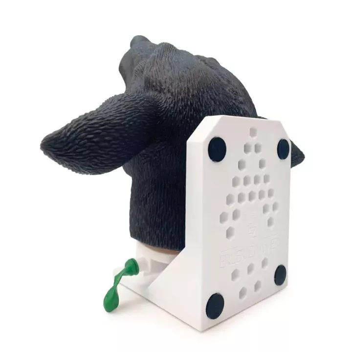 Tête de chien pour intubation