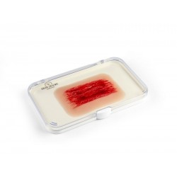 Modèle d'une écorchure par abrasion